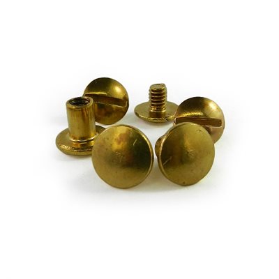 Chicago screw 1 / 4" solid brass (10)