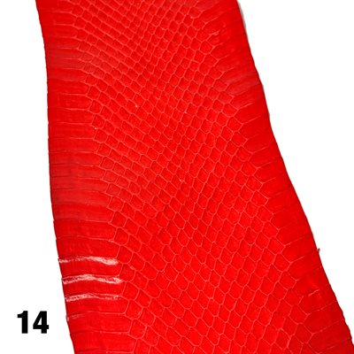 Cobra couleurs assorties 40 à 58". de long