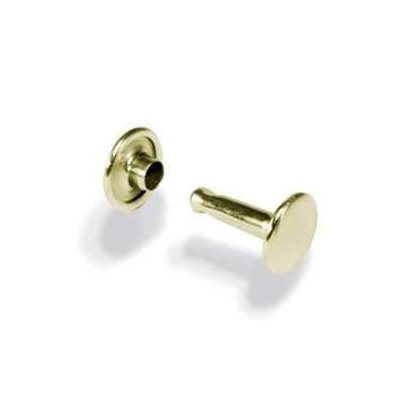 Double cap rivets large solid brass (100)cap:9,53mm, post :12,7mm
